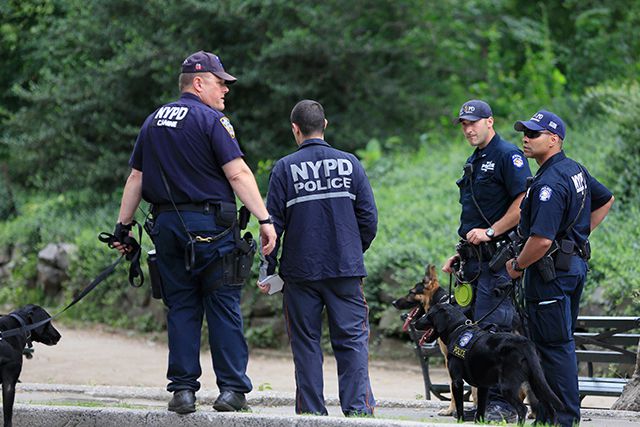 The NYPD in Central Park on July 3, 2016, investigating the explosion